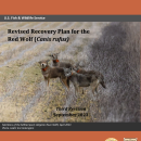 U.S. Fish and Wildlife Service Releases Final Revised Recovery Plan for